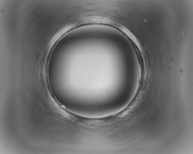 X0000081571293200701151202