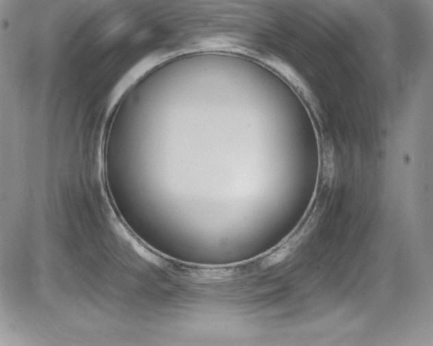 X0000081571294200701151202