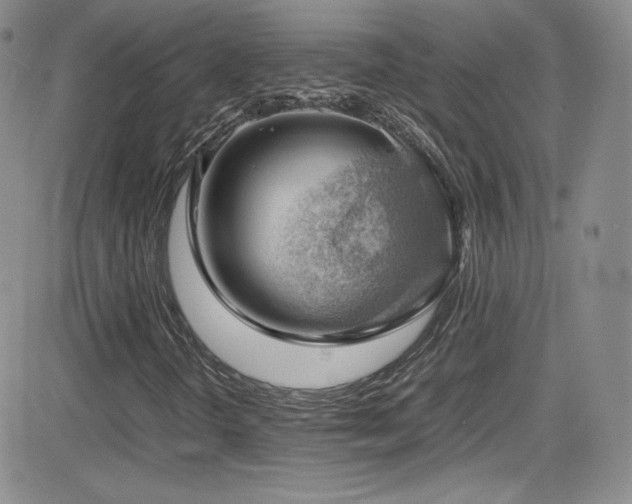 X0000081571298200701151202