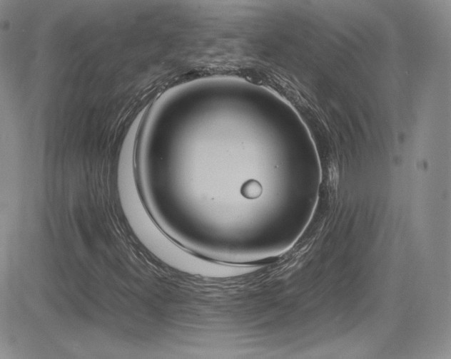X0000081571300200701151202