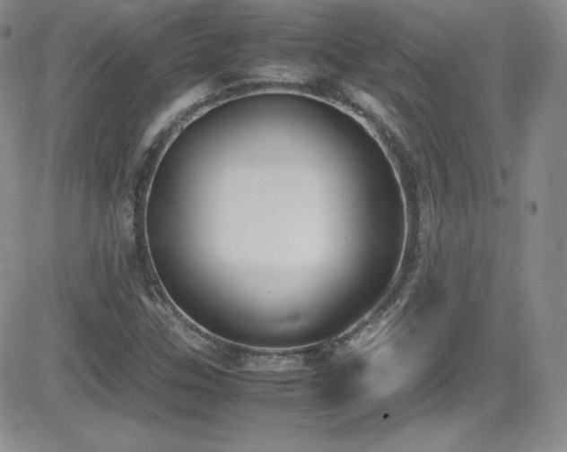 X0000081571307200701151202