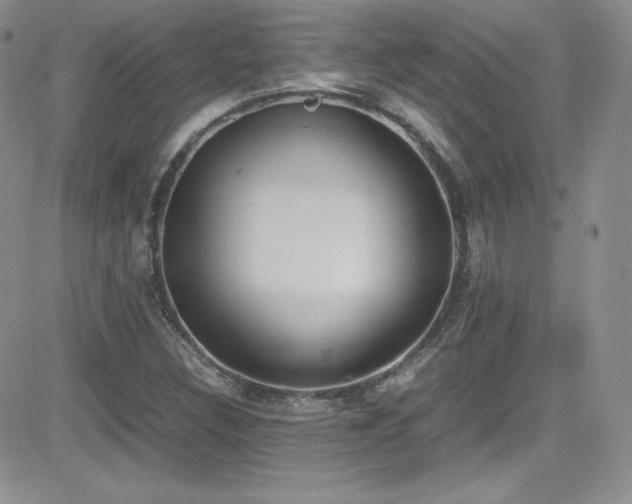X0000081571308200701151202