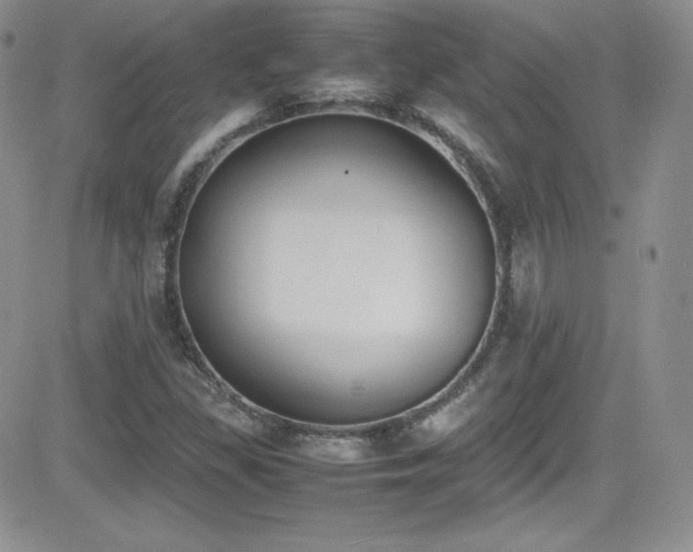 X0000081571309200701151202