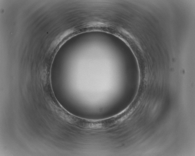 X0000081571313200701151202