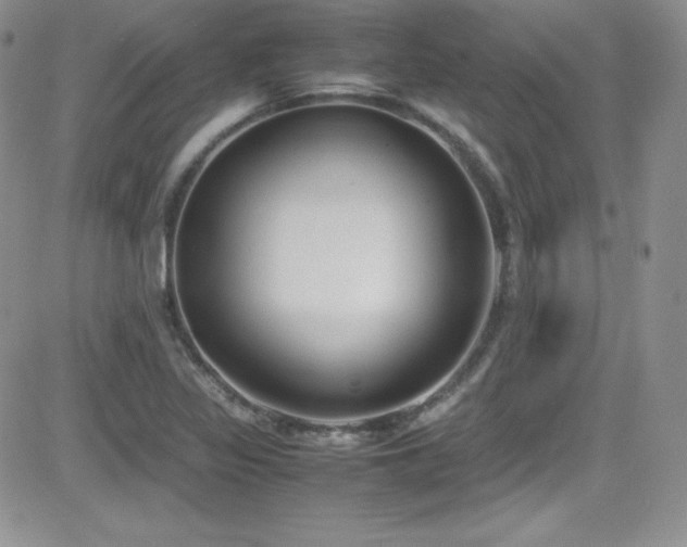 X0000081571317200701151202