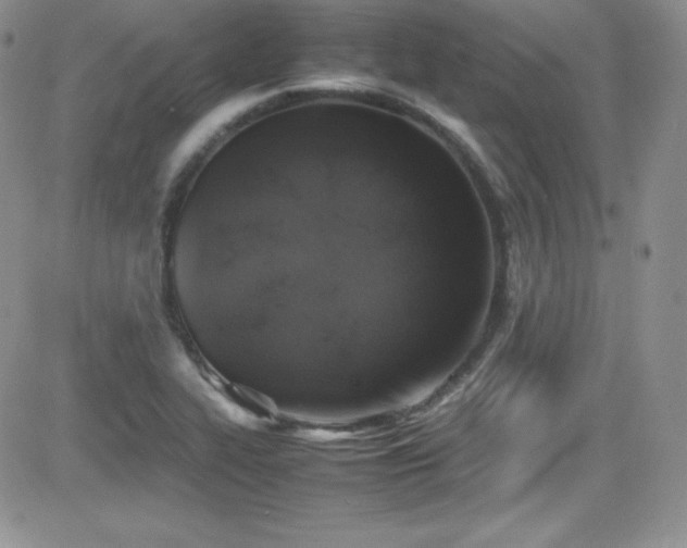 X0000081571319200701151202