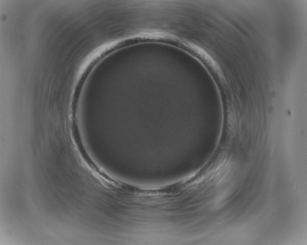 X0000081571327200701151202