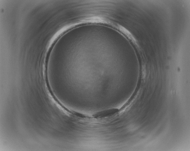 X0000081571334200701151202