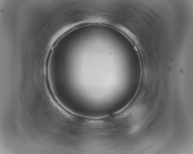 X0000081571335200701151202
