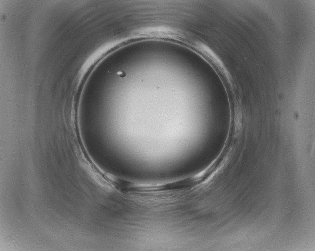 X0000081571336200701151202