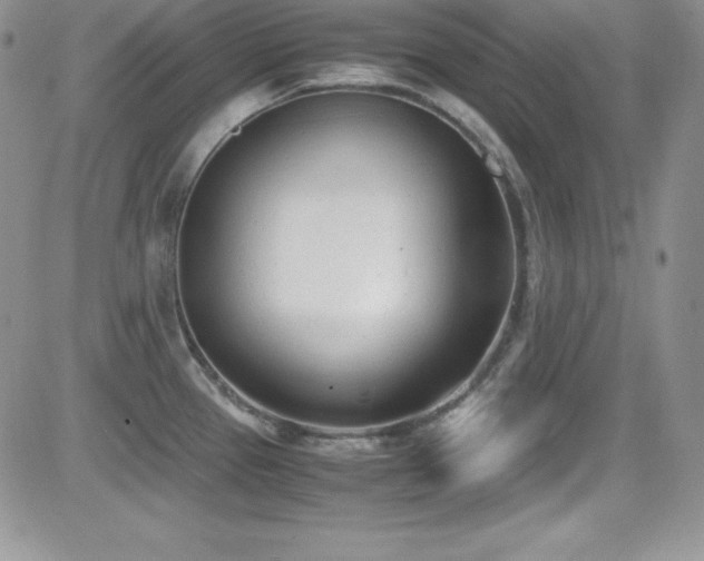 X0000081571337200701151202