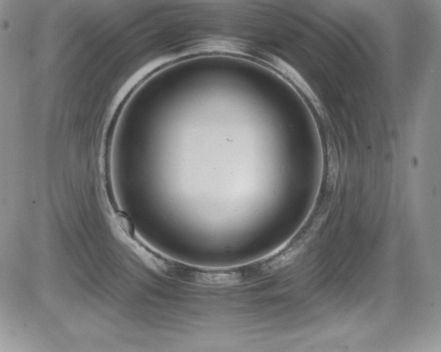X0000081571339200701151202