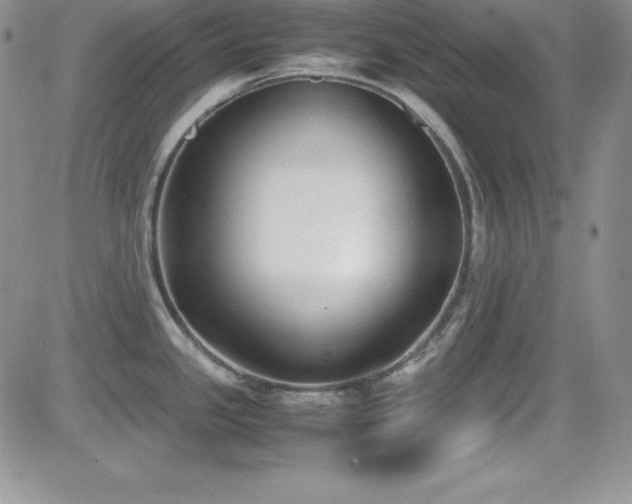 X0000081571341200701151202