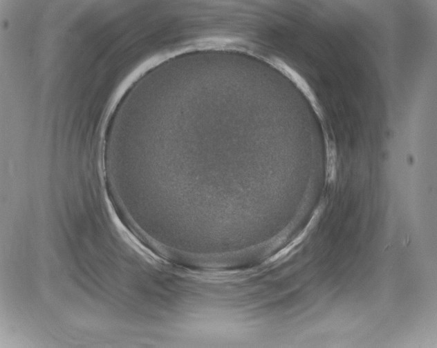 X0000081571342200701151202