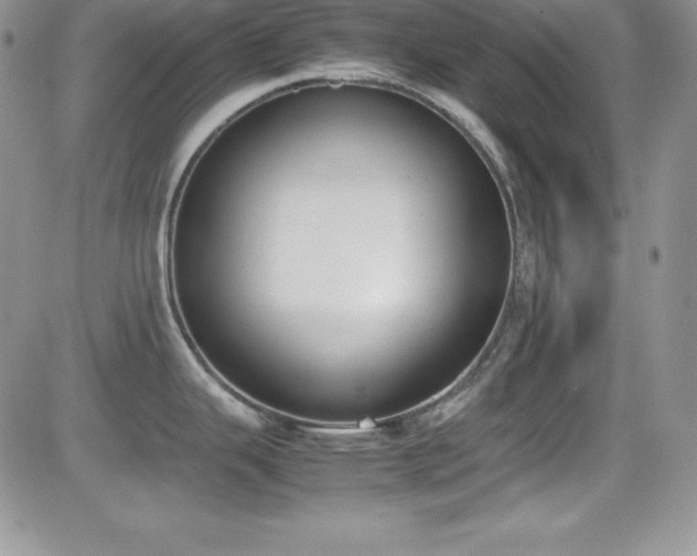 X0000081571343200701151202