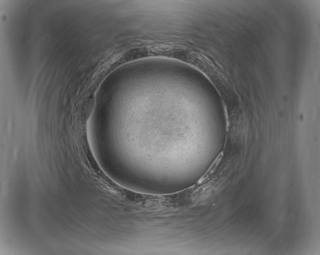 X0000081571345200701151201