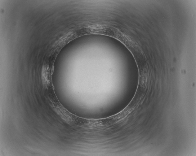 X0000081571346200701151201