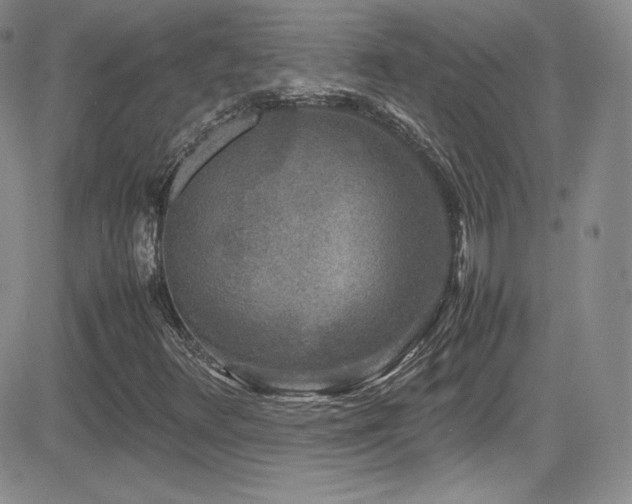 X0000081571348200701151201