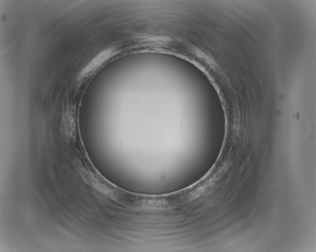 X0000081571354200701151201