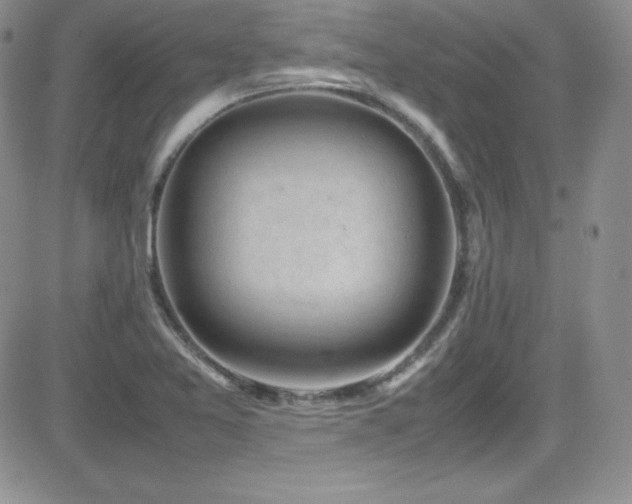 X0000081571365200701151201
