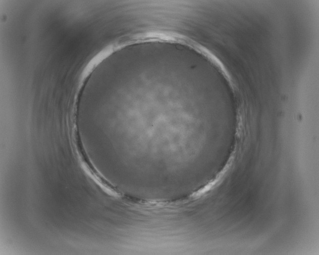 X0000081571373200701151201