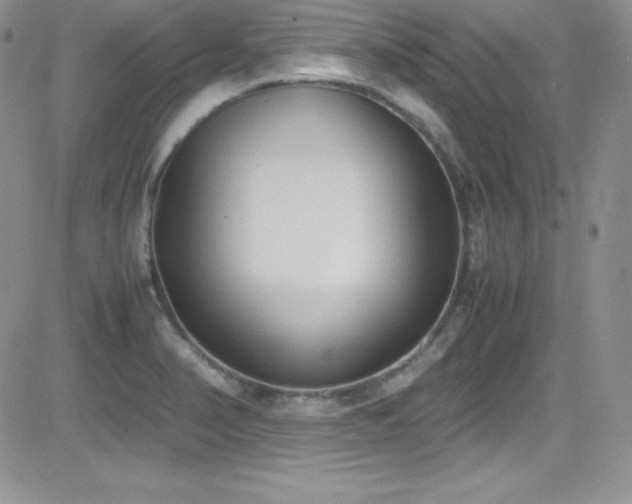 X0000081571374200701151201