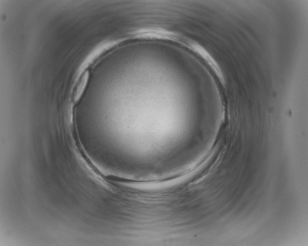 X0000081571376200701151201