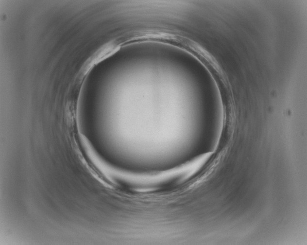 X0000081571377200701151201