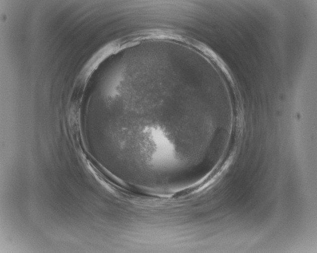 X0000081571385200701151201