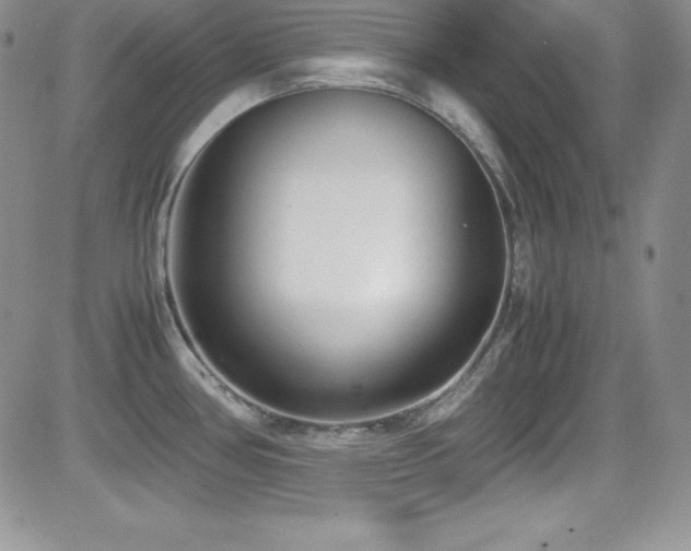 X0000081571386200701151201