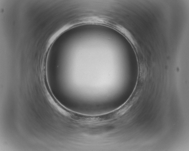 X0000081571387200701151201