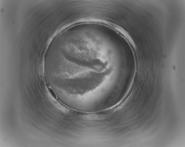 X0000081571388200701151201