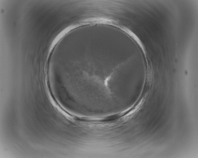 X0000081571389200701151201