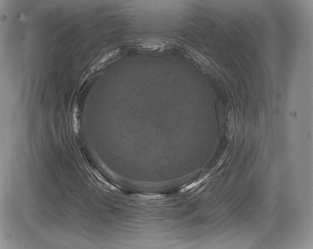 X0000081571394200701151200