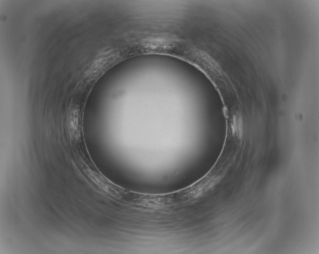 X0000081571396200701151200