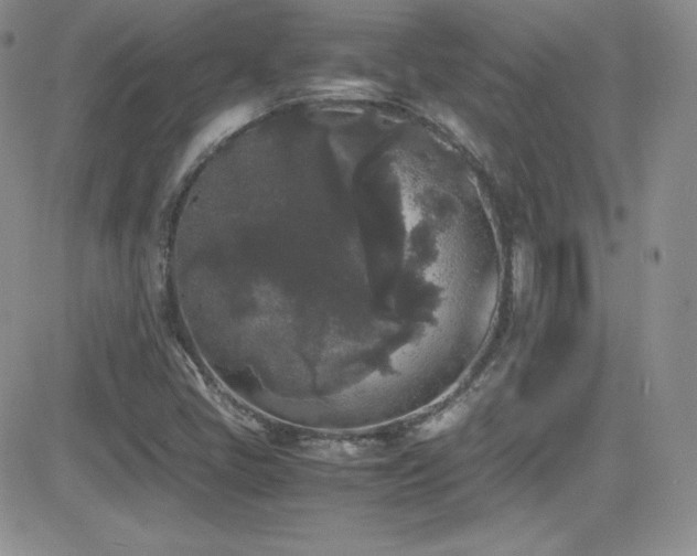 X0000081571405200701151200