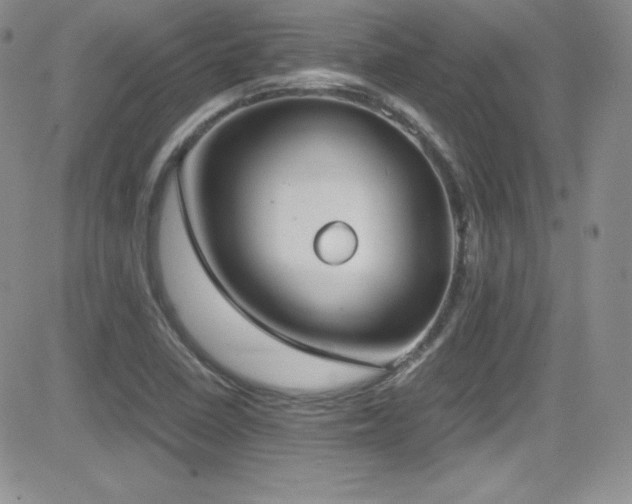 X0000081571410200701151200
