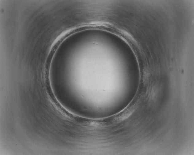 X0000081571412200701151200