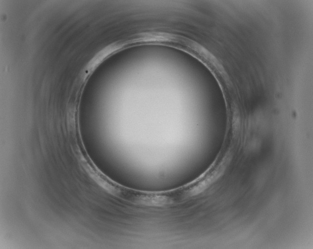 X0000081571417200701151200