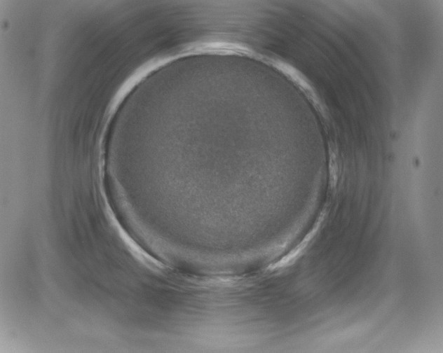 X0000081571430200701151201