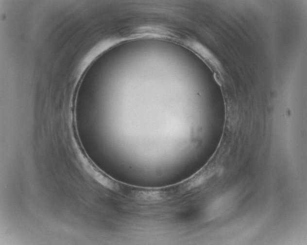X0000081571431200701151201