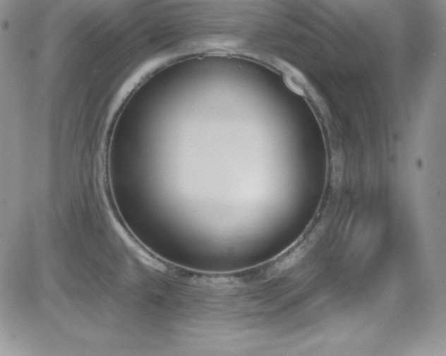 X0000081571432200701151201