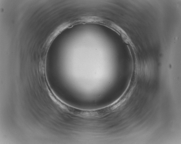 X0000081571433200701151201