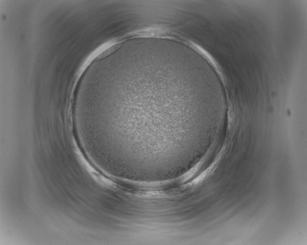 X0000081571434200701151201
