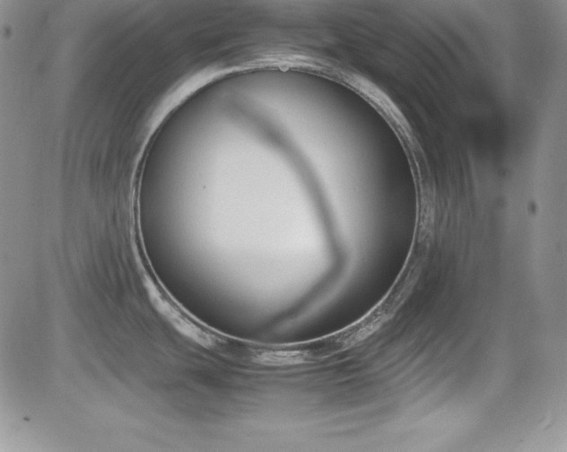 X0000081571439200701151201