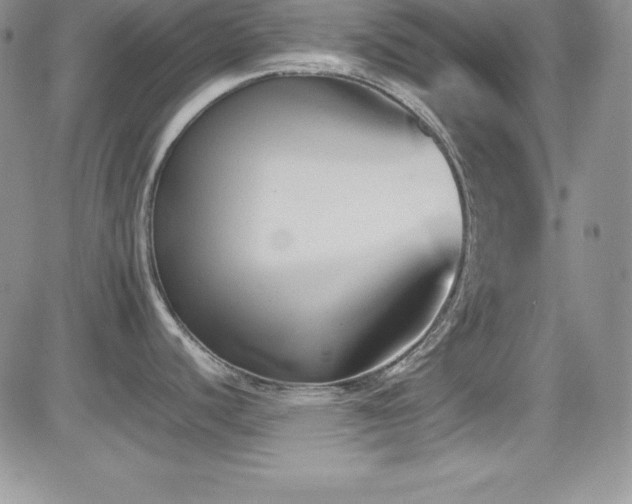 X0000081571440200701151201