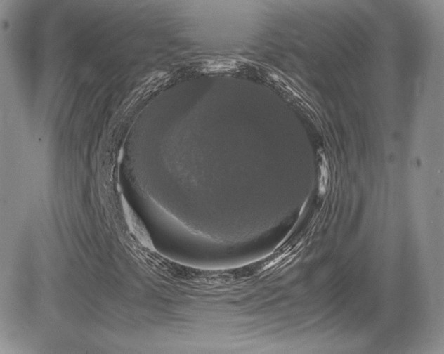 X0000081571441200701151200