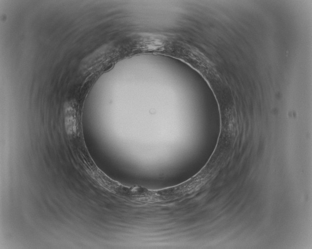 X0000081571442200701151200
