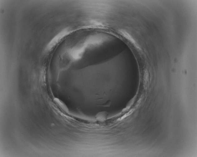 X0000081571455200701151200