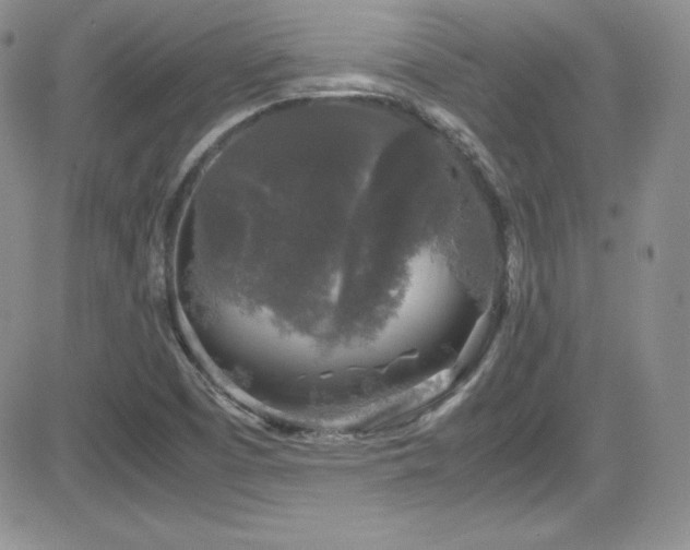 X0000081571457200701151200